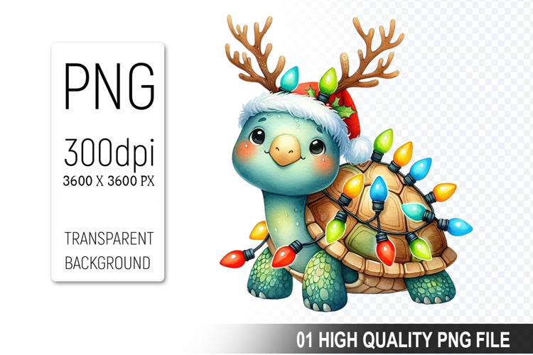 Turtle Png Image 8