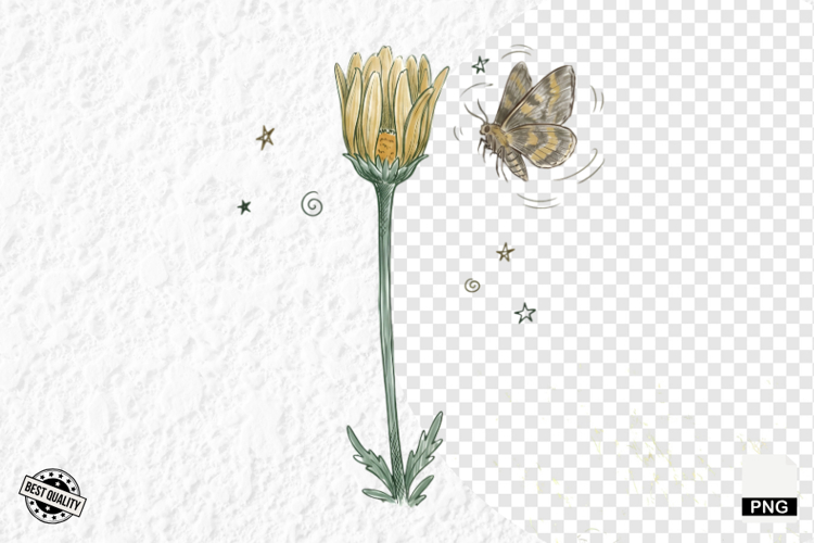 Daisy Flower Clipart Image 23
