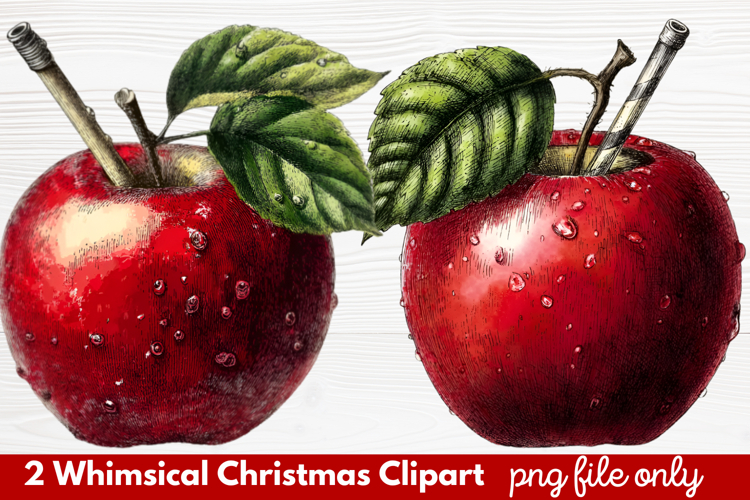 2 Whimsical Christmas Clipart | Cute Holiday PNG Set