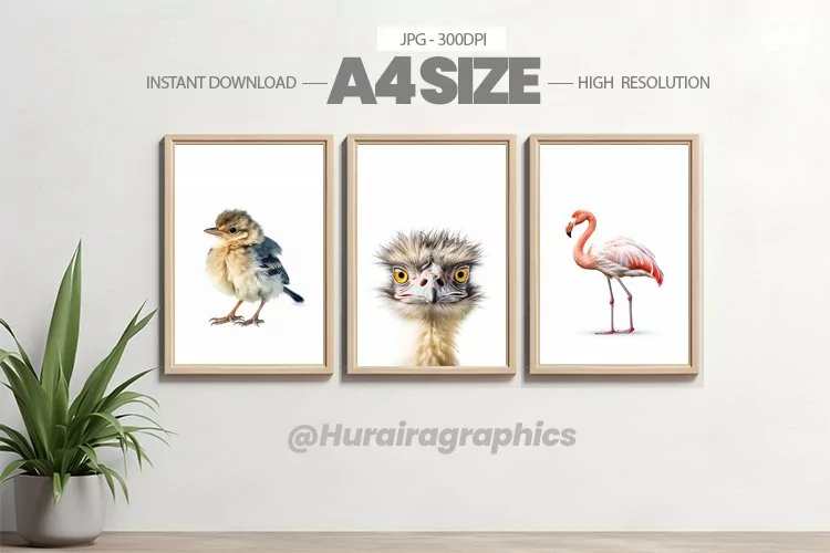 Animal Wall Art - 03 Variations