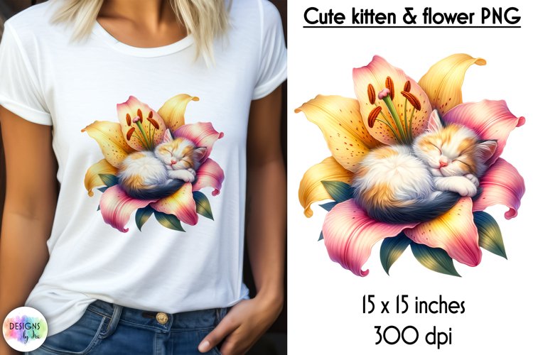 Kitten Png Image 23