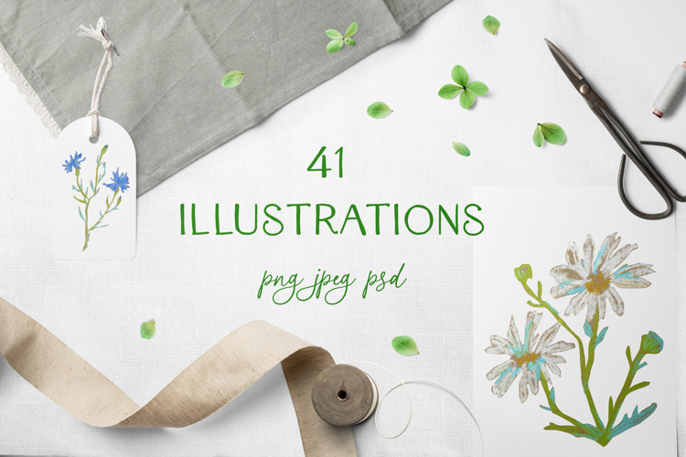 Crayon Wildflowers & Grasses Clipart Lavender Chamomile