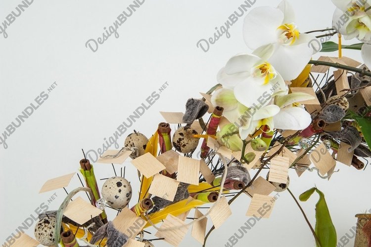 Celebration Background Image 24