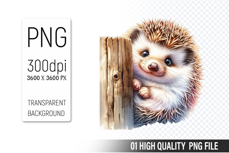 Cute Hedgehog, Animal Sublimation Clipart PNG