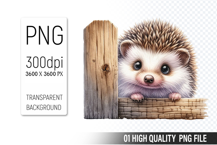 Cute Hedgehog, Animal Sublimation Clipart PNG