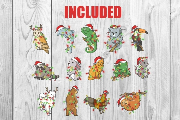 Animals Png Image 14