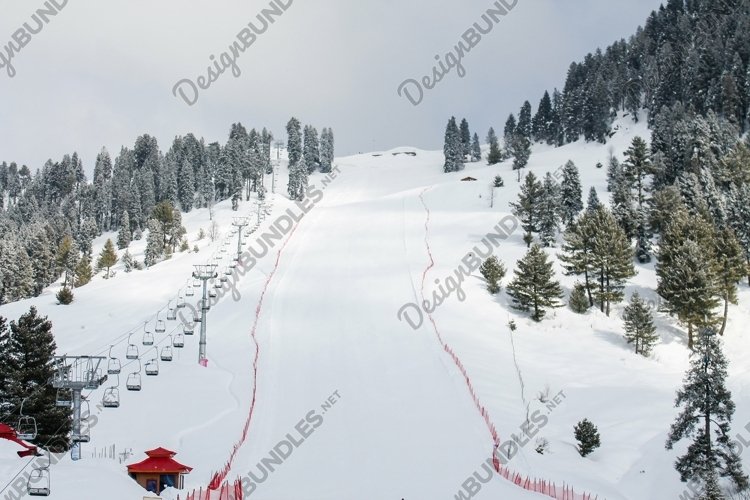 Breathtaking view of the trees on the snow-covered example image 1