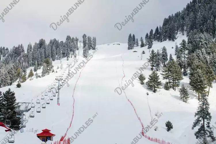 Breathtaking view of the trees on the snow-covered