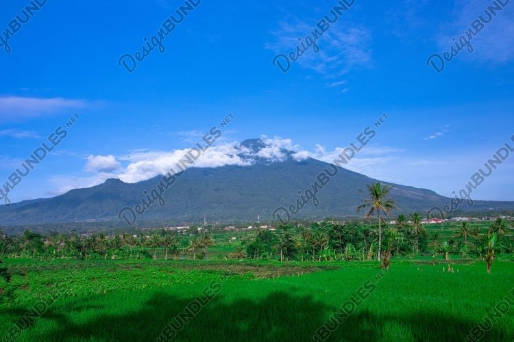 Beautiful Clipart Image 6