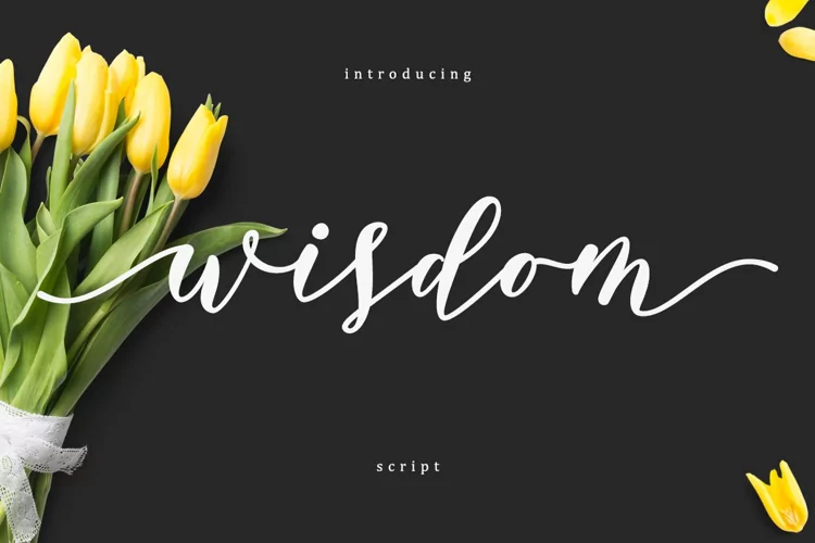 Wisdom - Beautifully Hand Crafted Script Font
