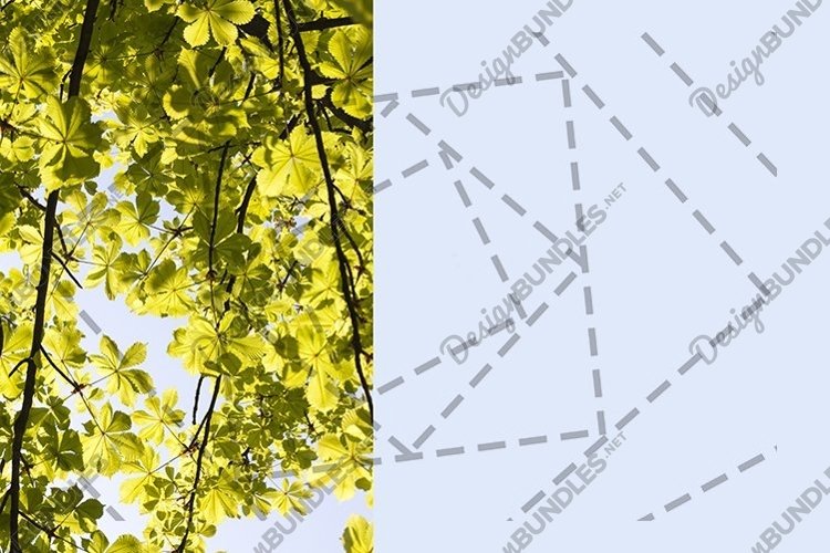 Sky Background Image 4