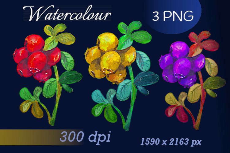 Wild Berry Lingonberry Watercolor Clipart example image 1