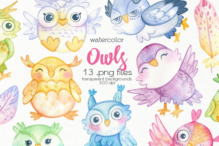 Watercolor Owls Clipart - PNG Files example image 1