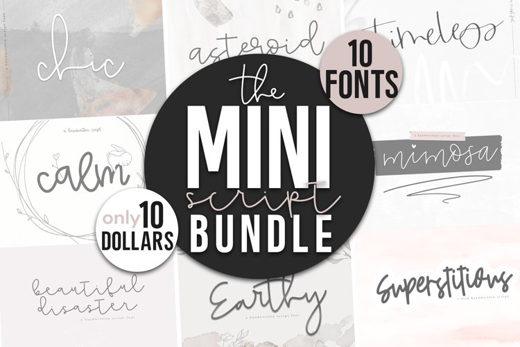 Mini Handwritten Script Font Bundle - 10 Fonts example image 1