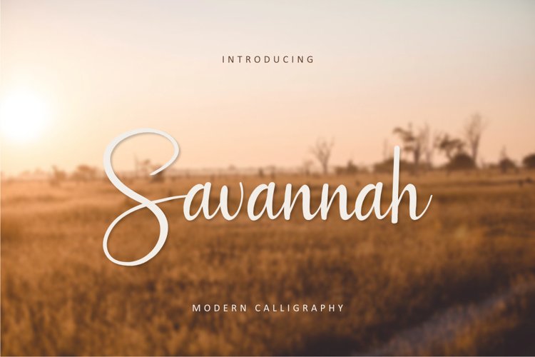 Savannah example image 1