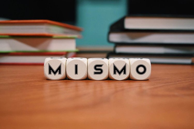 Mismo Family example image 1