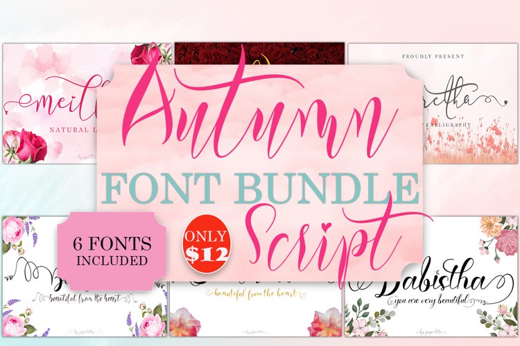 Autumn Script Font Bundle example image 1