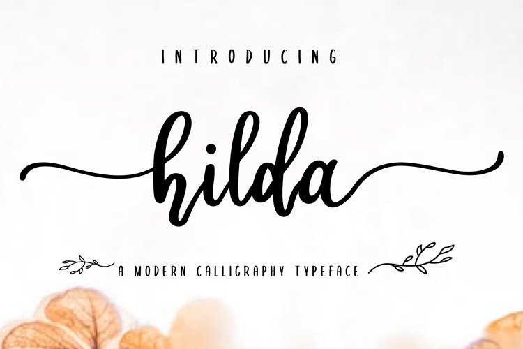 hilda script example image 1