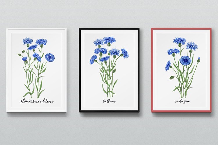 Watercolor prints.Digital prints of Cornflowers.Wall art example image 1