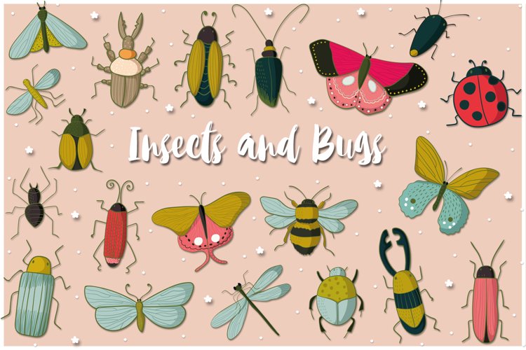 Bugs Clipart Image 23