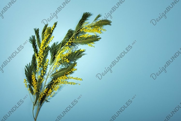 March Clipart Image 2