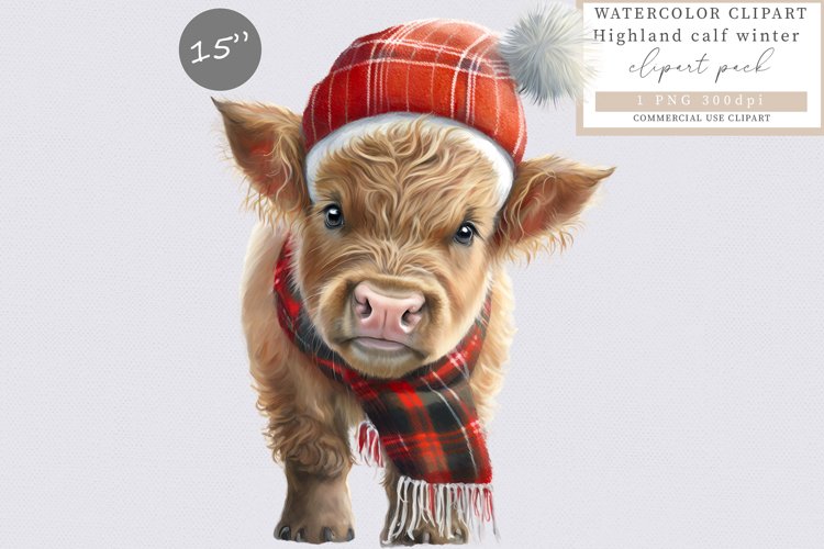 Highland calf sublimation, Christmas clipart, Cow clipart