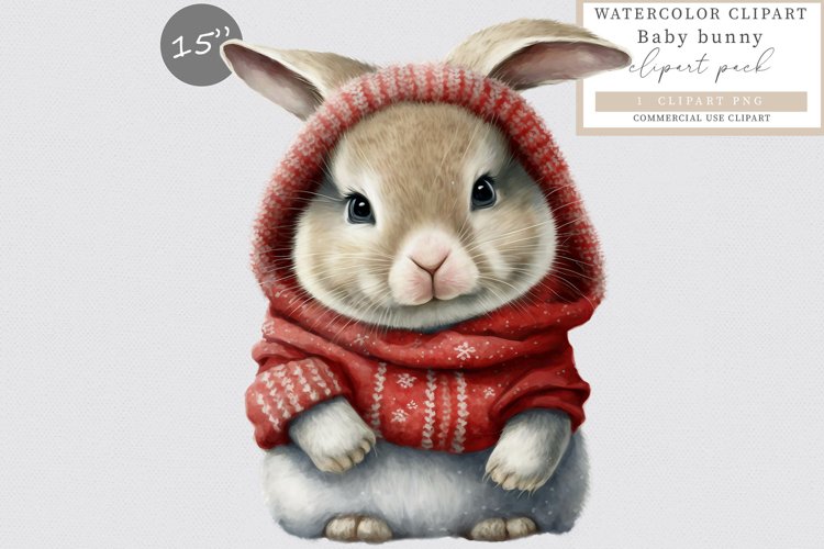 Bunny Clipart Image 16