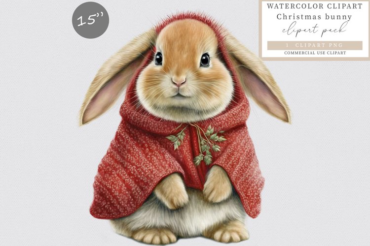 Bunny Clipart Image 15