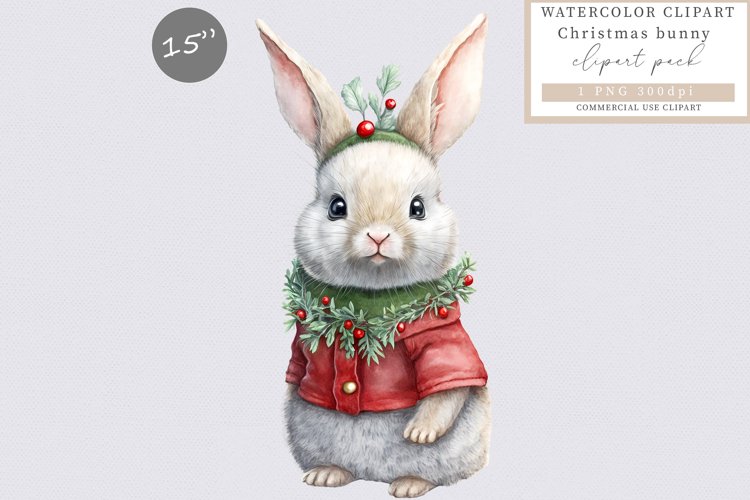 Bunny Clipart Image 10