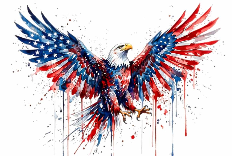 Eagle Clipart 4th of July PNG