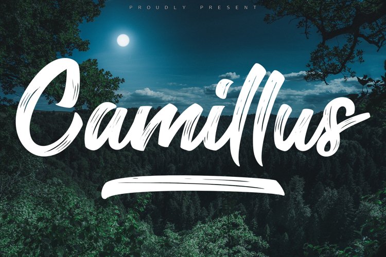 Camillus example image 1