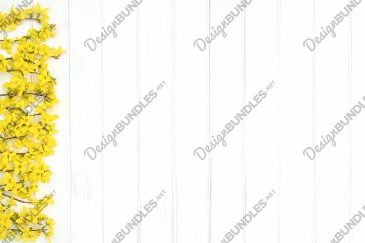 Floral Background Image 6