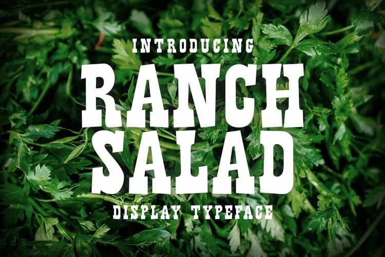 Ranch Salad - Bold   Chunky Display Font