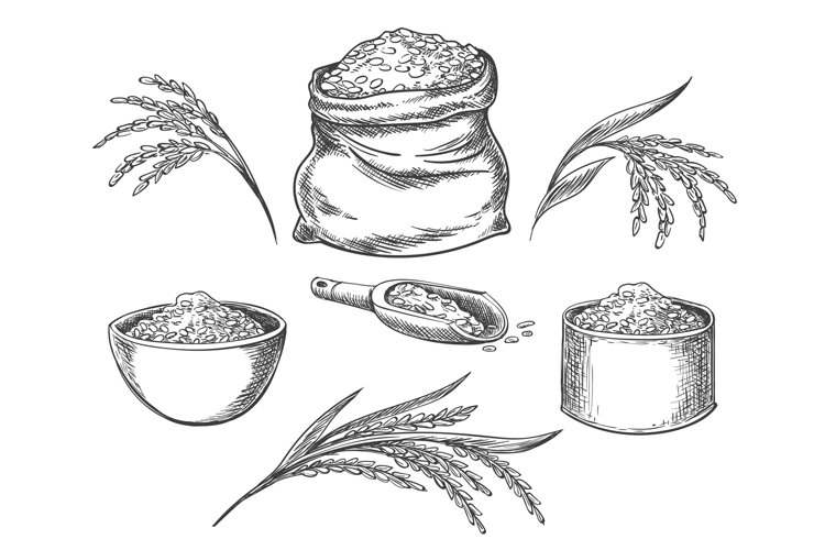 Seed Clipart Image 11
