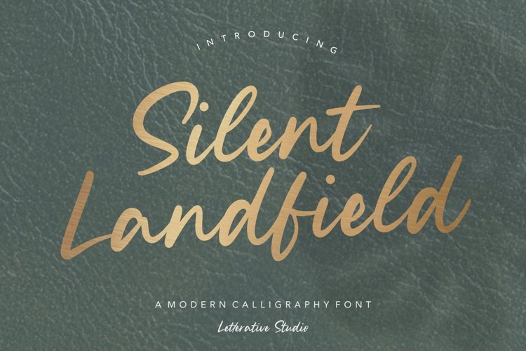 Silent Landfield Modern Calligraphy Font example image 1