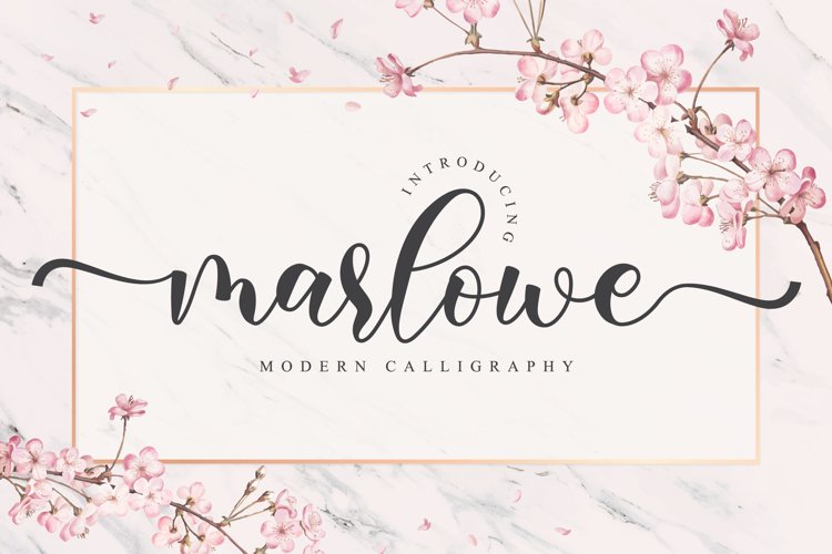 Marlowe Script example image 1