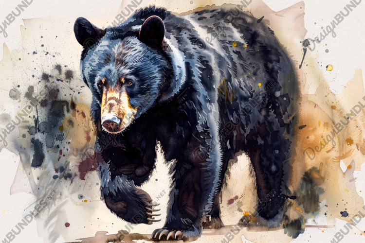 Bear Wallpaper Image 10