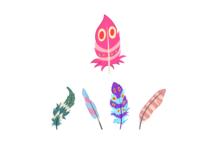 Colorful exotic bird feathers vector illustration collection