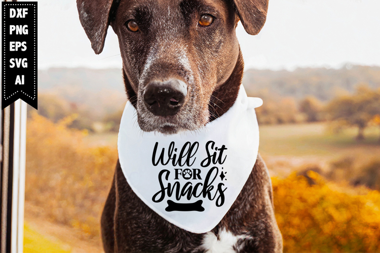 Dog Life Svg