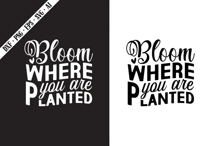 Bloom Where You Are Planted Svg, Motivation Svg Designs