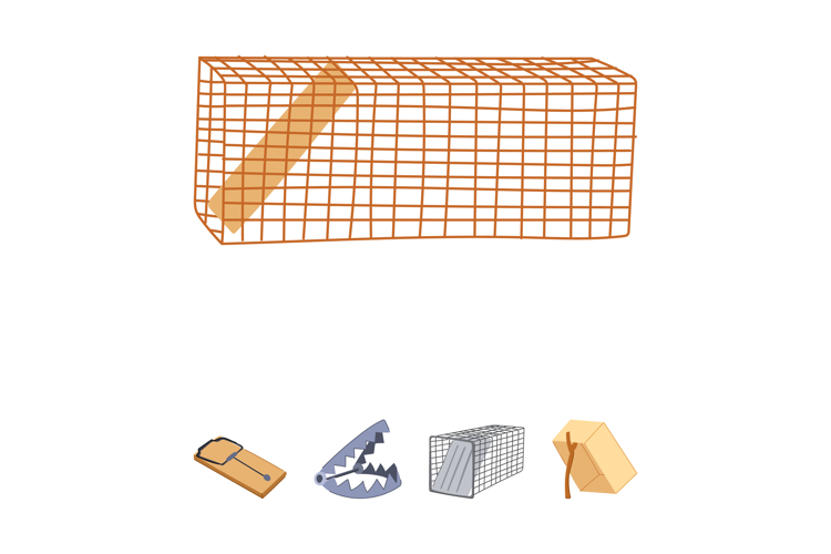 Different types of animal traps and snares