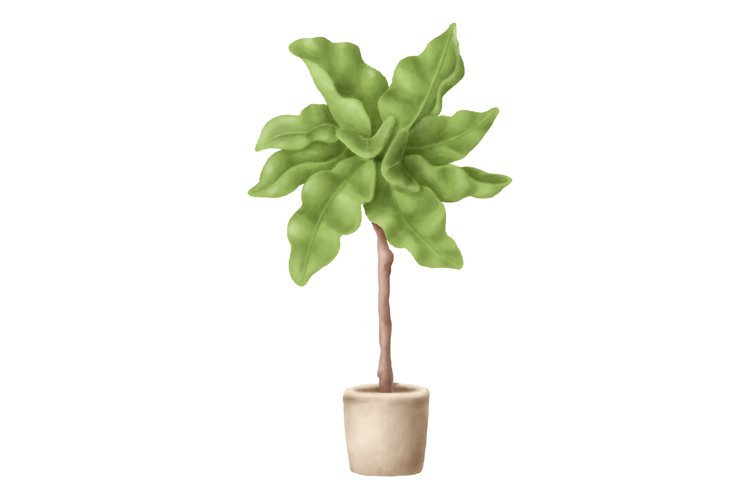 Greenery Clipart Image 8