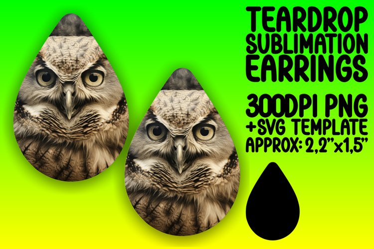 Owl Clipart Image 10