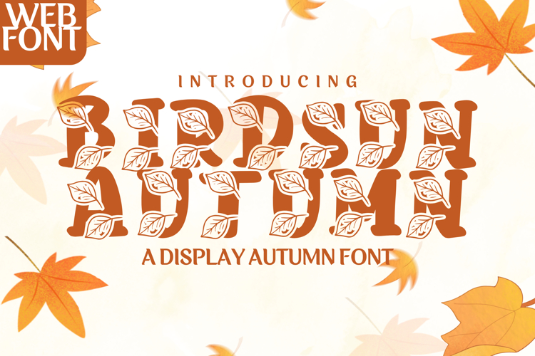 Birdsun Autumn - A Cozy Whimsical Display Font