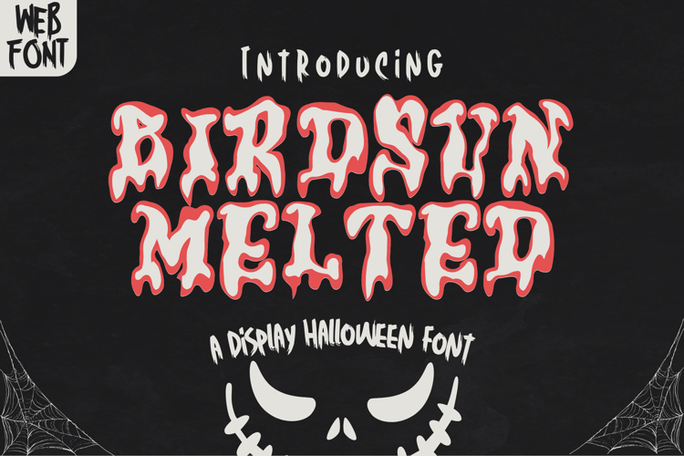 Birdsun Melted - A Playful Font Duo