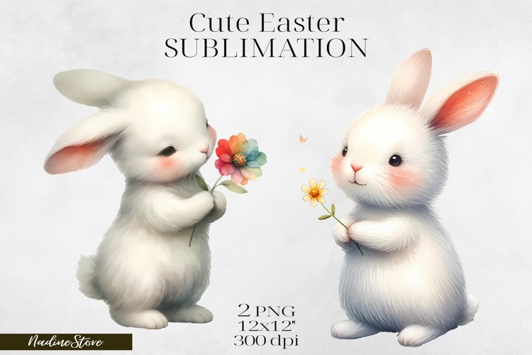 Rabbit Illustration Image 23