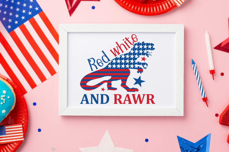 4th Of July Sublimation Design Image 11