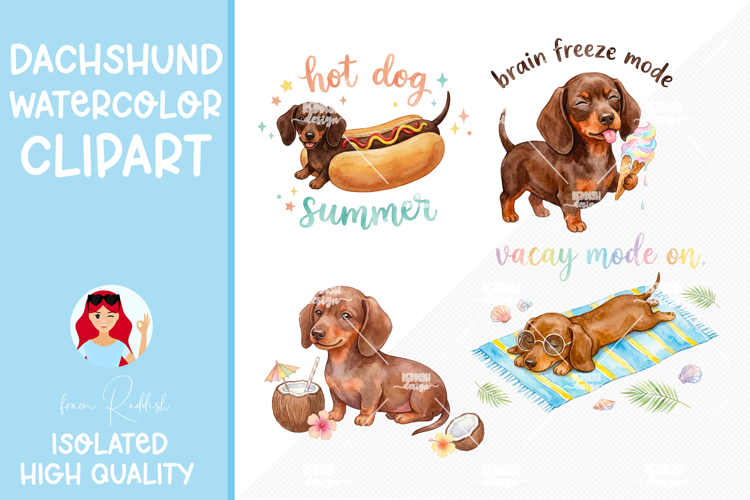 4 Dachshund Summer Watercolor Cliparts