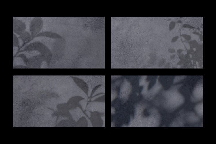 Soft Foliage Overlay Botanical Shadow Backgrounds example image 1