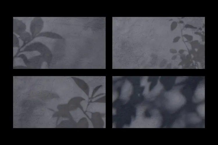 Soft Foliage Overlay Botanical Shadow Backgrounds